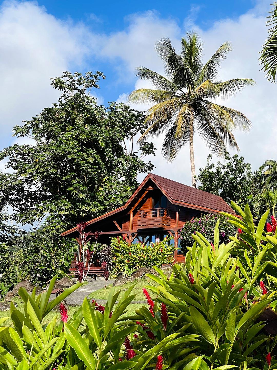 Jardin Malanga Hotell Basse-Terre Eksteriør bilde